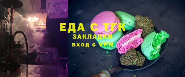 индика Абаза