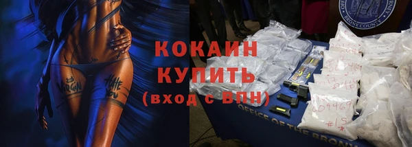 индика Абаза