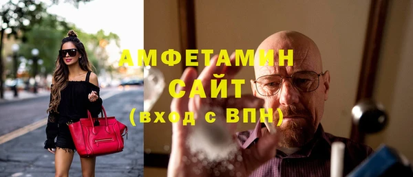 индика Абаза
