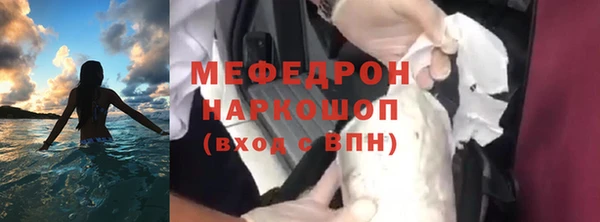 индика Абаза
