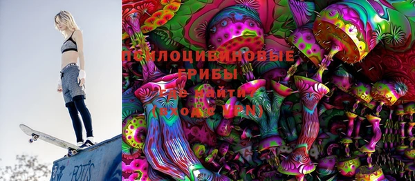 индика Абаза