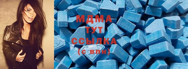 индика Абаза