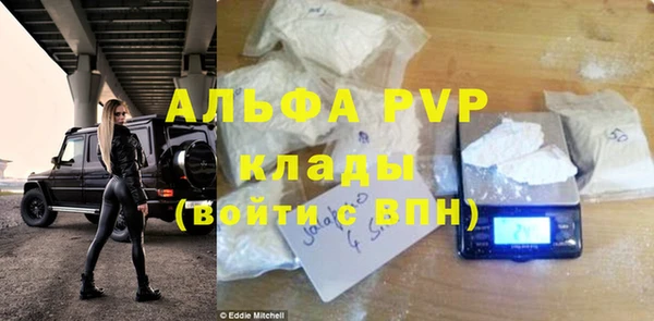 индика Абаза